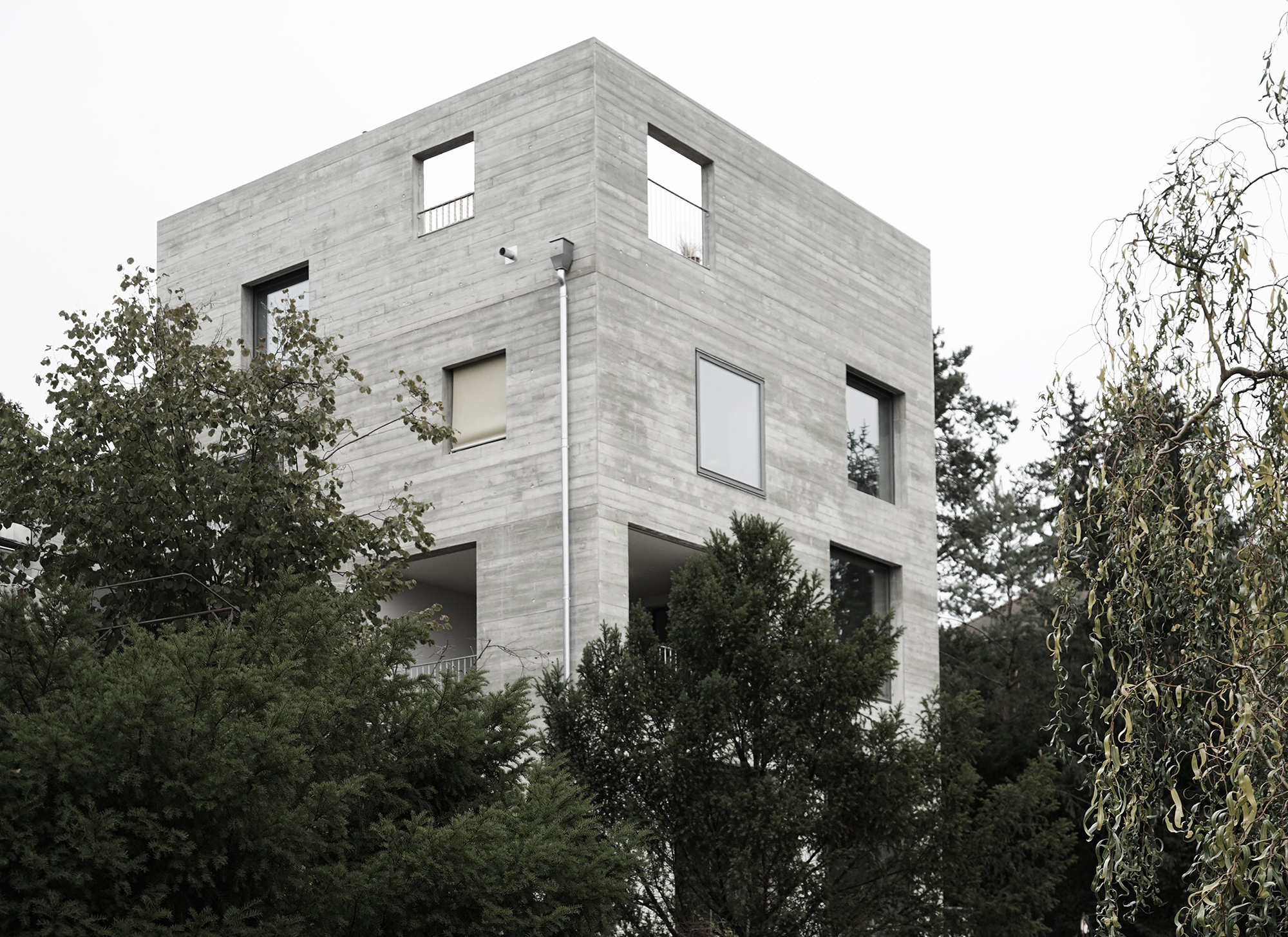 塔式住宅丨德国德累斯顿丨Löser Lott Architekten-24