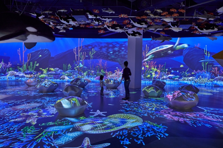 玩具王国游戏-27