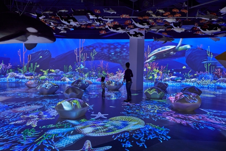 玩具王国游戏-27