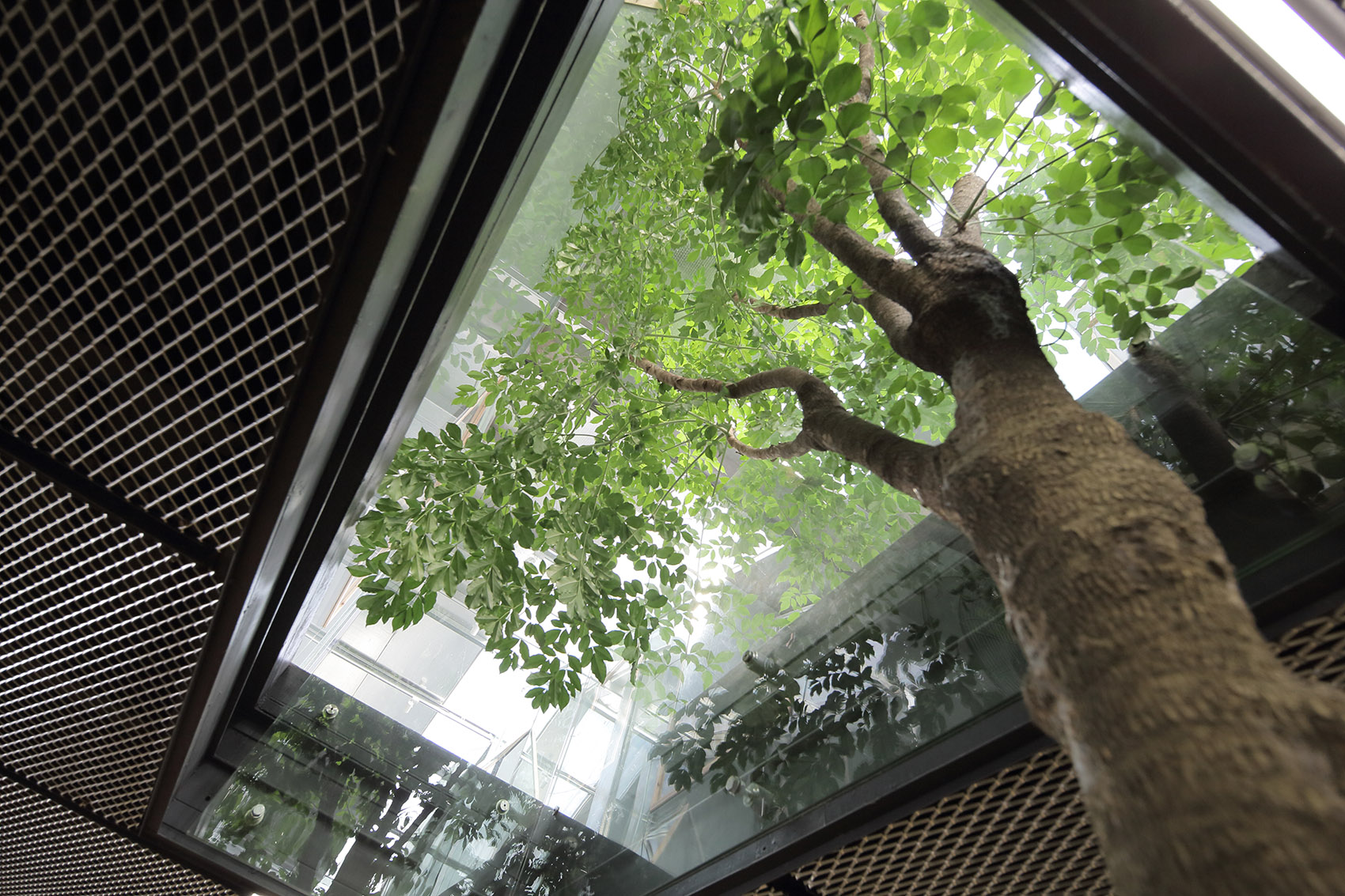 花房匣居，广州 / 源计划建筑师事务所-37