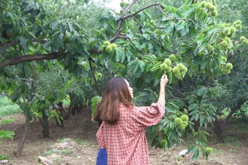 西安“小岳岳”放着豪宅不住,却跑到大山里花费百万爆改四合院,这一次却火爆整个民宿圈-155