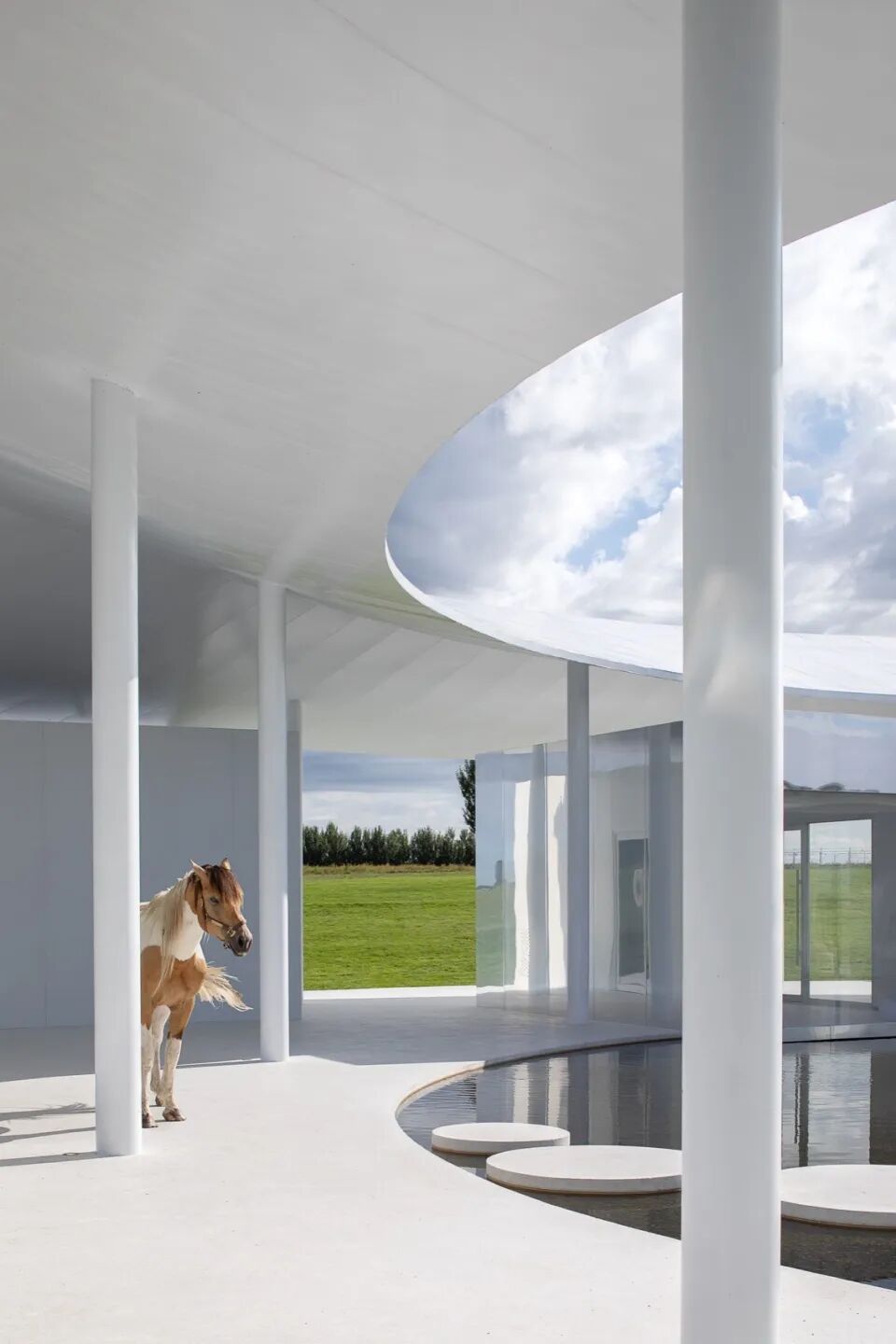 慢珊瑚新作｜大庆阿木塔风景区的草原方舟-151