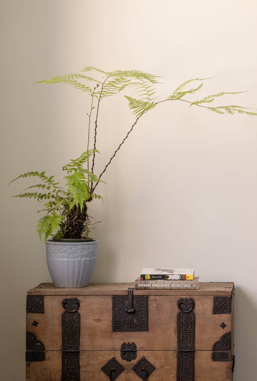 自然私宅丨中国上海丨上海东方美居设计-29