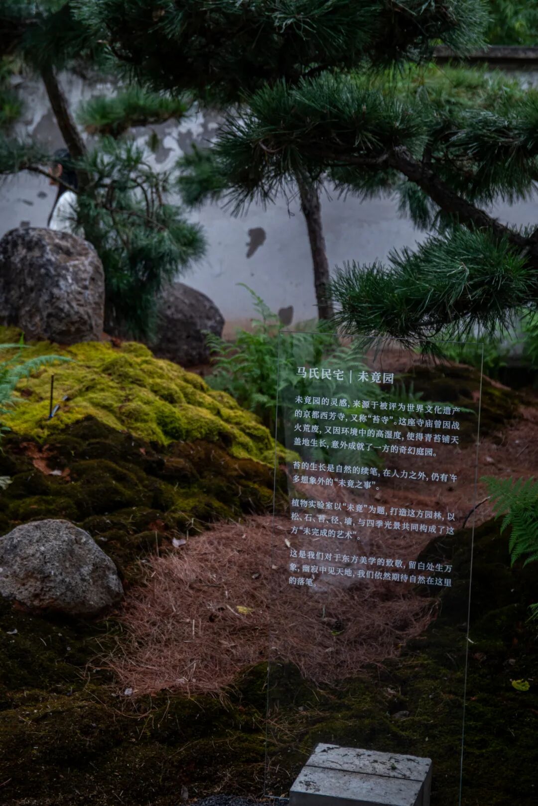 未竟园|当浦东百年历史民宅遇见京都苔寺，会生出怎样的新花园？-37