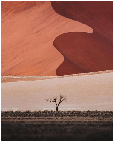 深圳商墅 C12丨中国深圳丨佰思创意设计-5