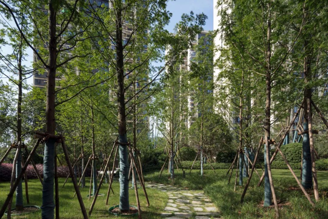 株洲金茂悦丨中国株洲丨LAURENT罗朗景观-48