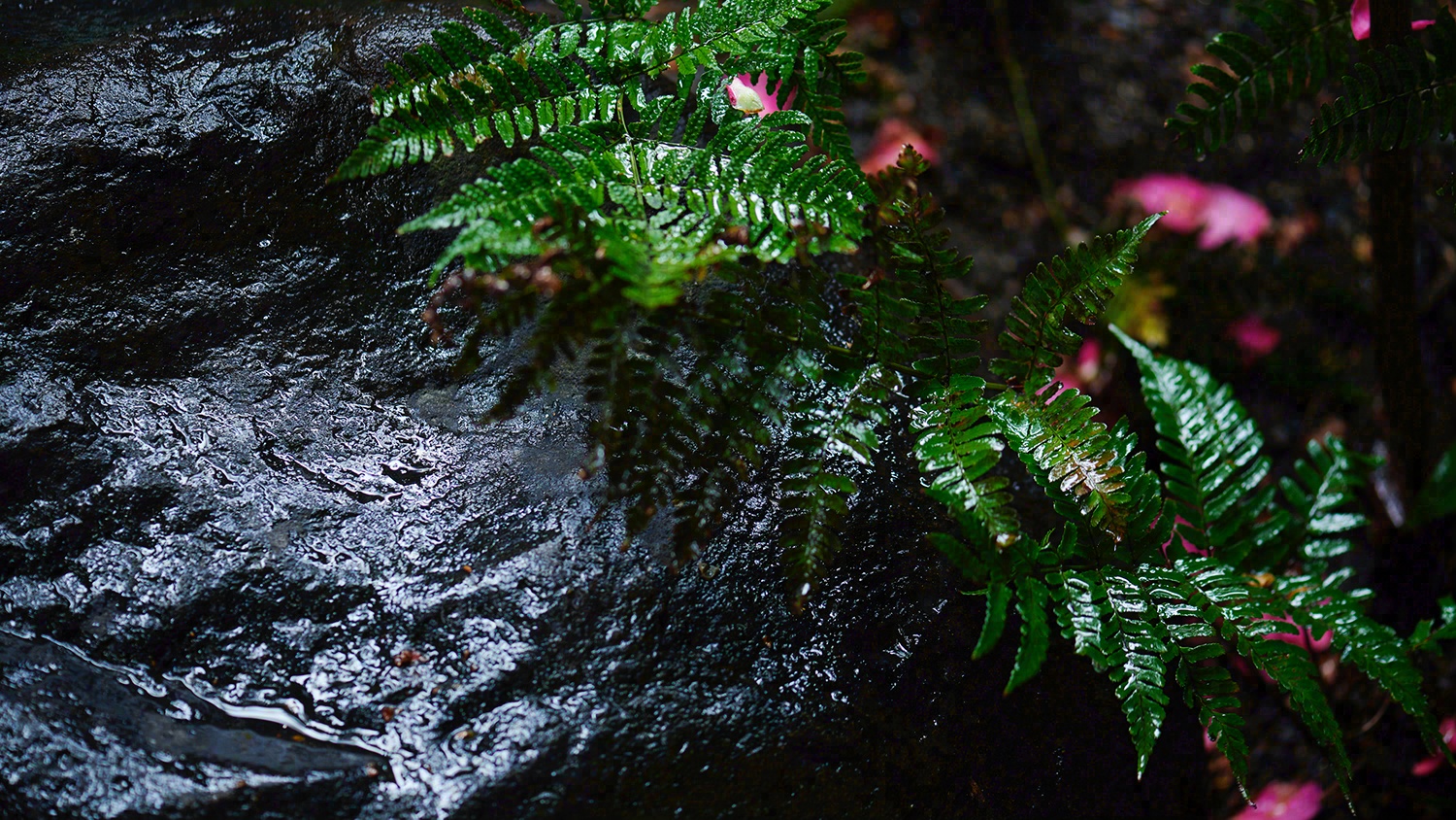 一乘寺,奈良总公司丨日本奈良丨Hitotomori 建筑设计事务所-16