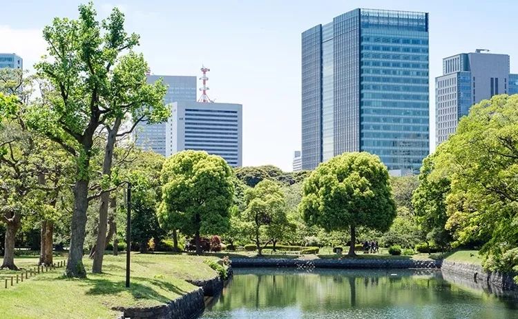 东京十座庭园式美术馆,艺术与自然的完美融合-31