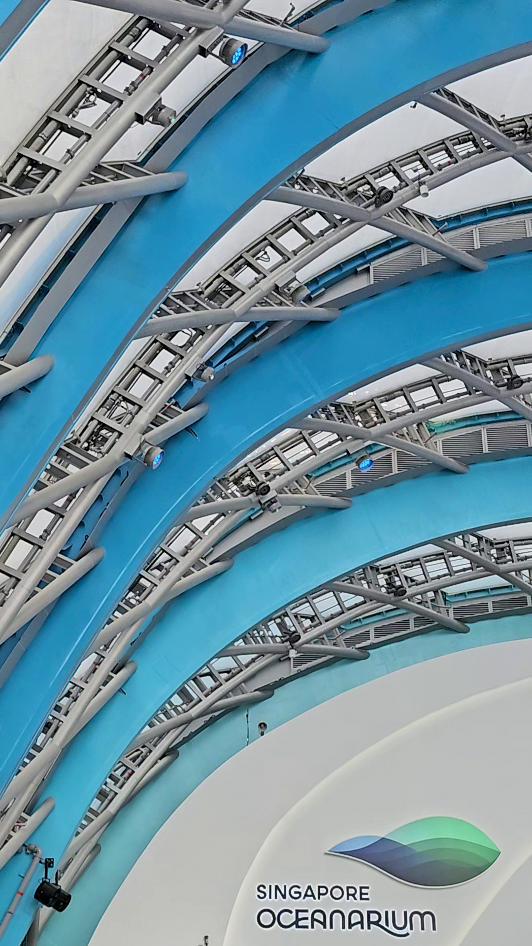 Benoy庆祝新加坡圣淘沙名胜世界海洋生态馆及研究与学习中心正式启幕-29