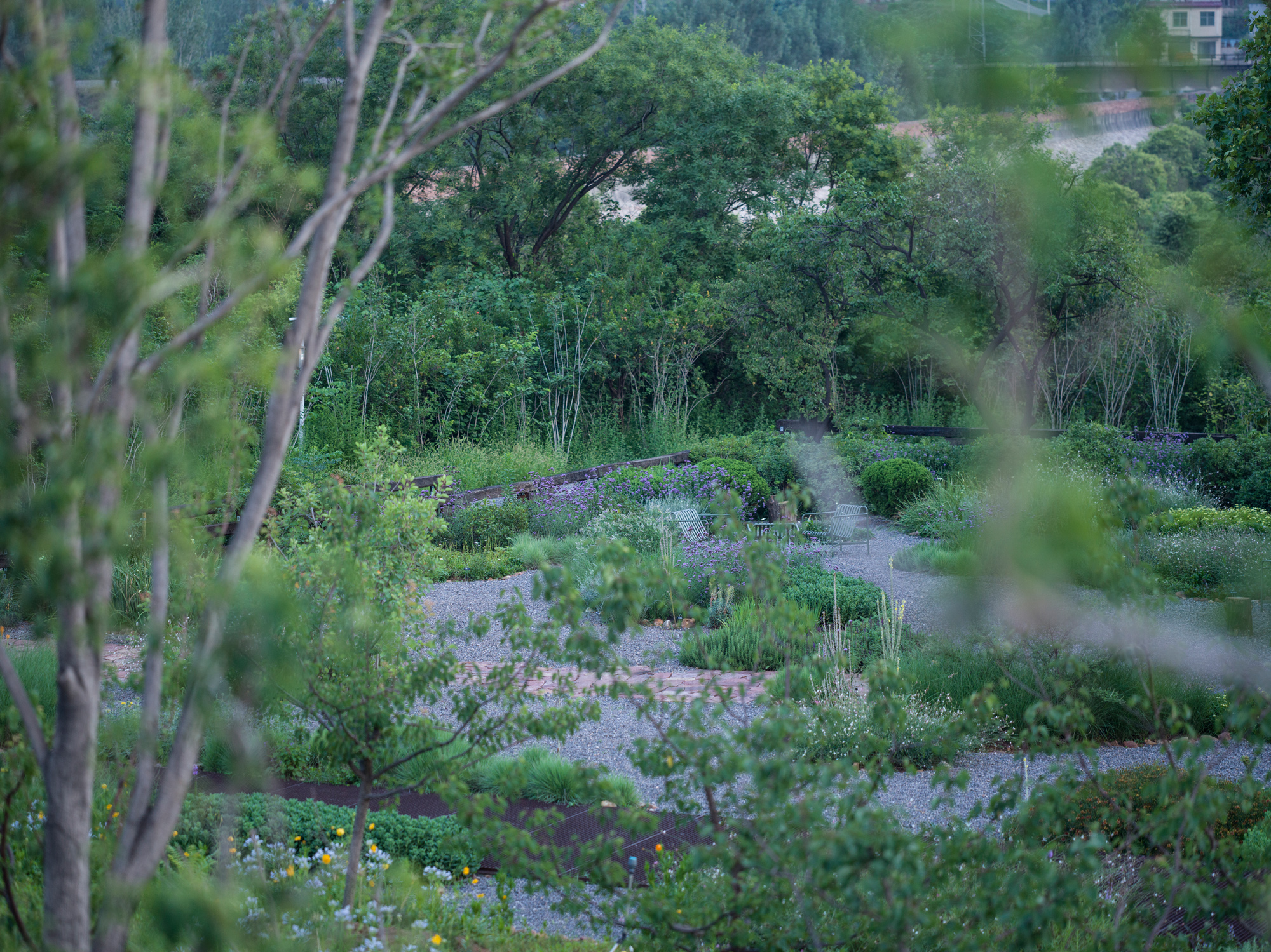 谷堆白沙 一期 景观丨中国白沙丨boll是园-173