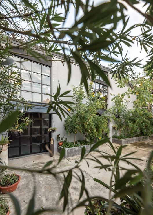 The Cellar House 工业仓库改造住宅丨墨西哥丨Taller Verde Arquitectura-12
