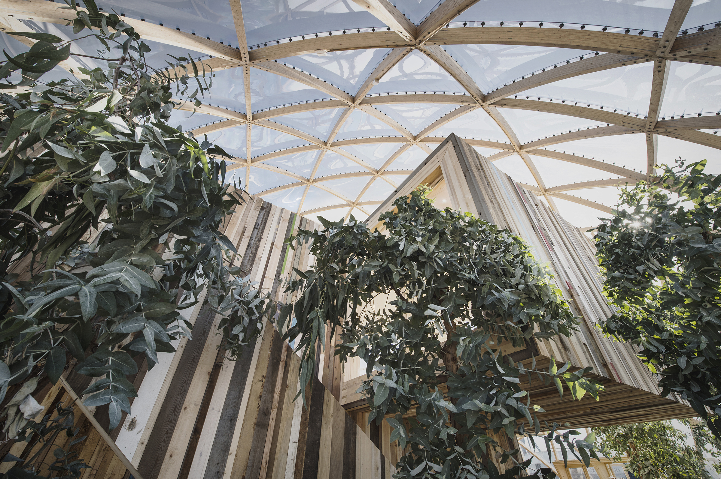 绿意环绕的临时性建筑 | Dome of Visions 3.0-28