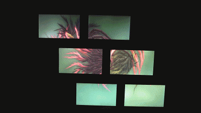 视界 | AI数字乐园,置身于外星生物组成的海底世界!-27