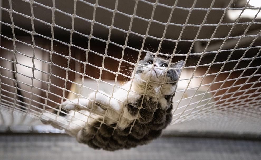 禅意田园生活,空间改造的艺术-40