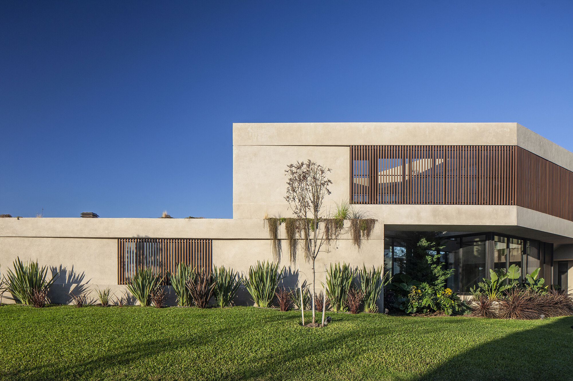 卡乔之家丨阿根廷丨Estudio Grizzo Arquitectos-8