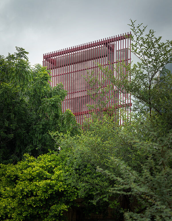 House With 49 Trees RENESA-5