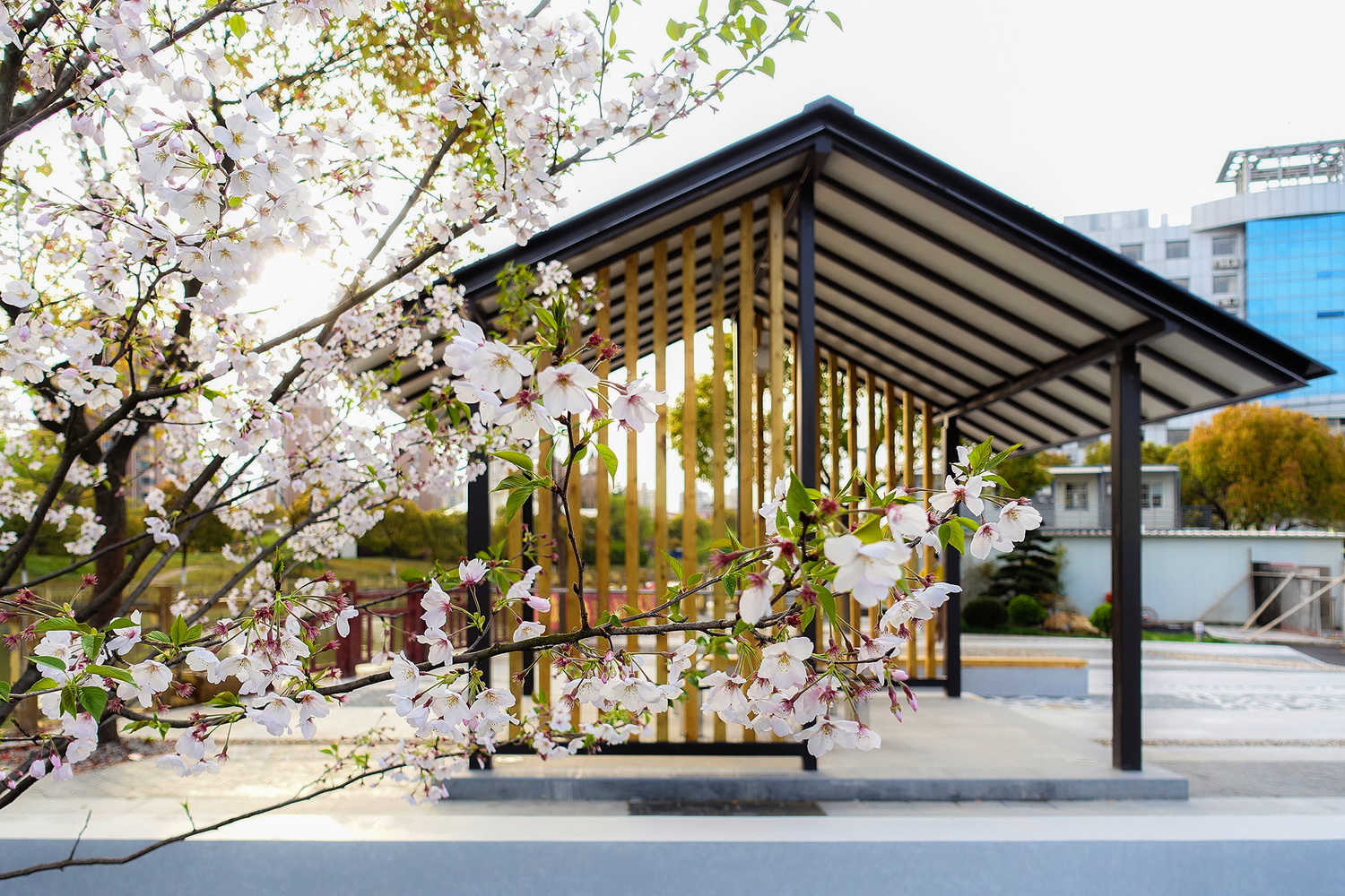 上海浦东金桥镇永建路小公园丨中国浦东新区丨上海善祥建筑设计有限公司-121