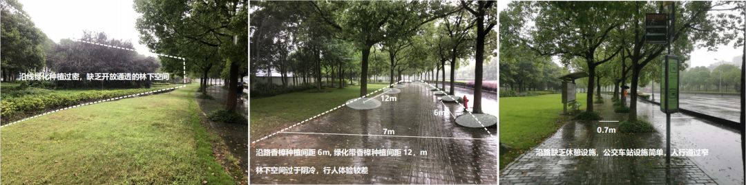 上海紫竹园区江川东路景观改造丨中国上海丨上海亦境建筑景观有限公司,上海交通大学设计学院风景园林研究所-18