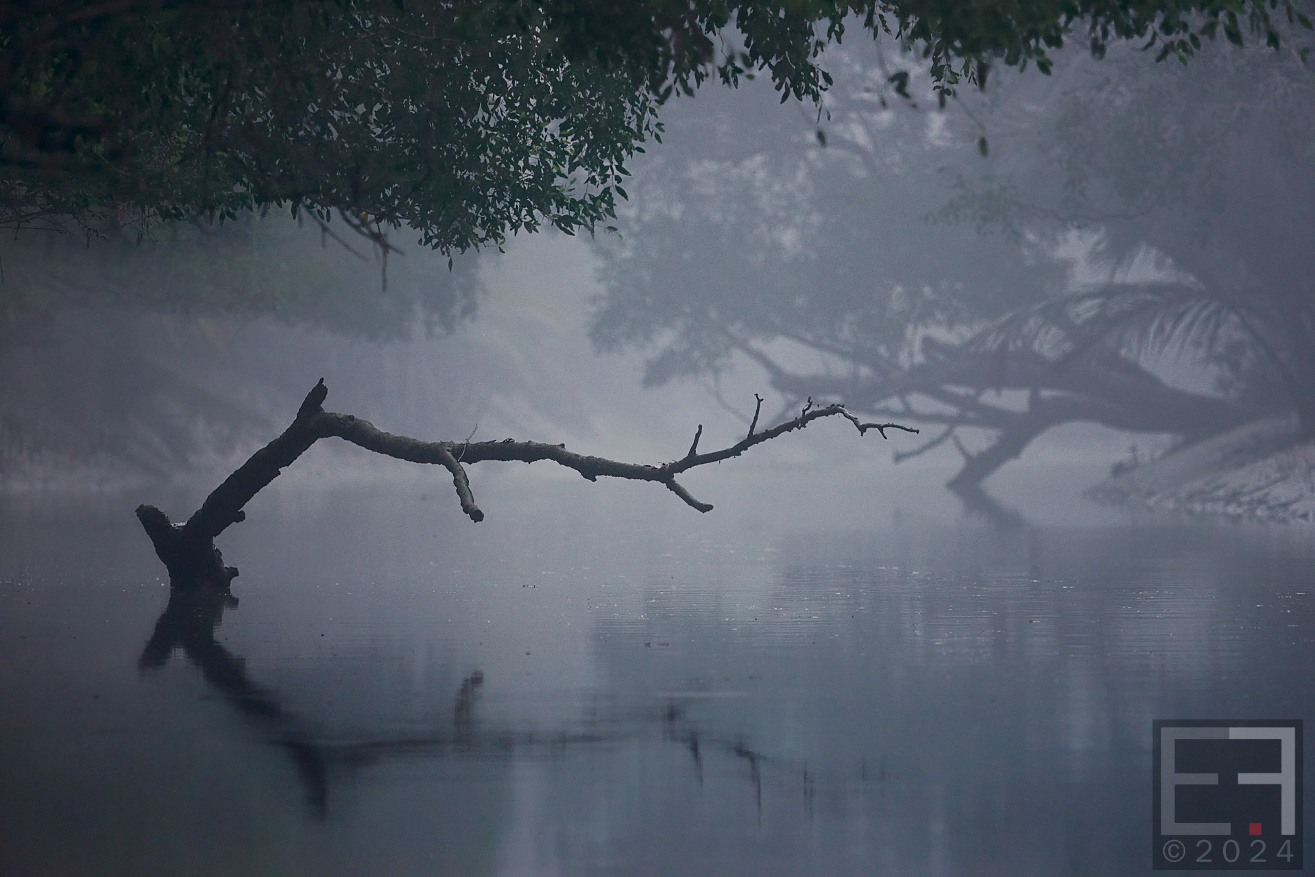 孟加拉国孙德尔本斯红树林保护与开发-4