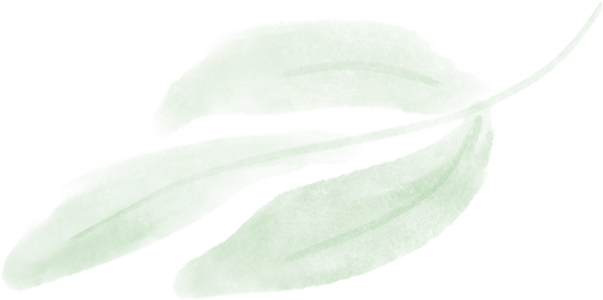 公司参建项目入选浙江省“绿水青山就是金山银山”转化典型案例-0