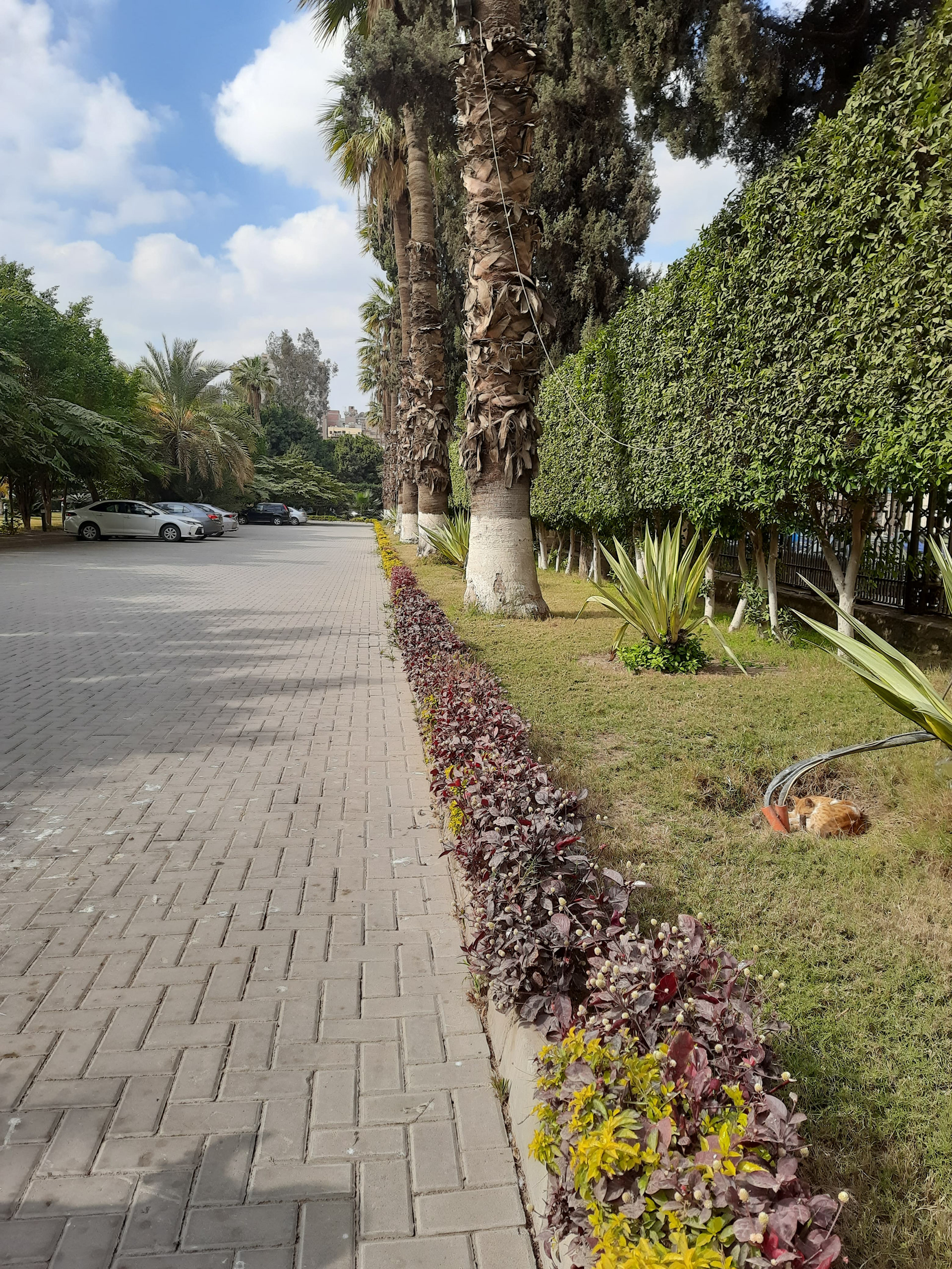 Architecture & Landscape Mobile Photography-6