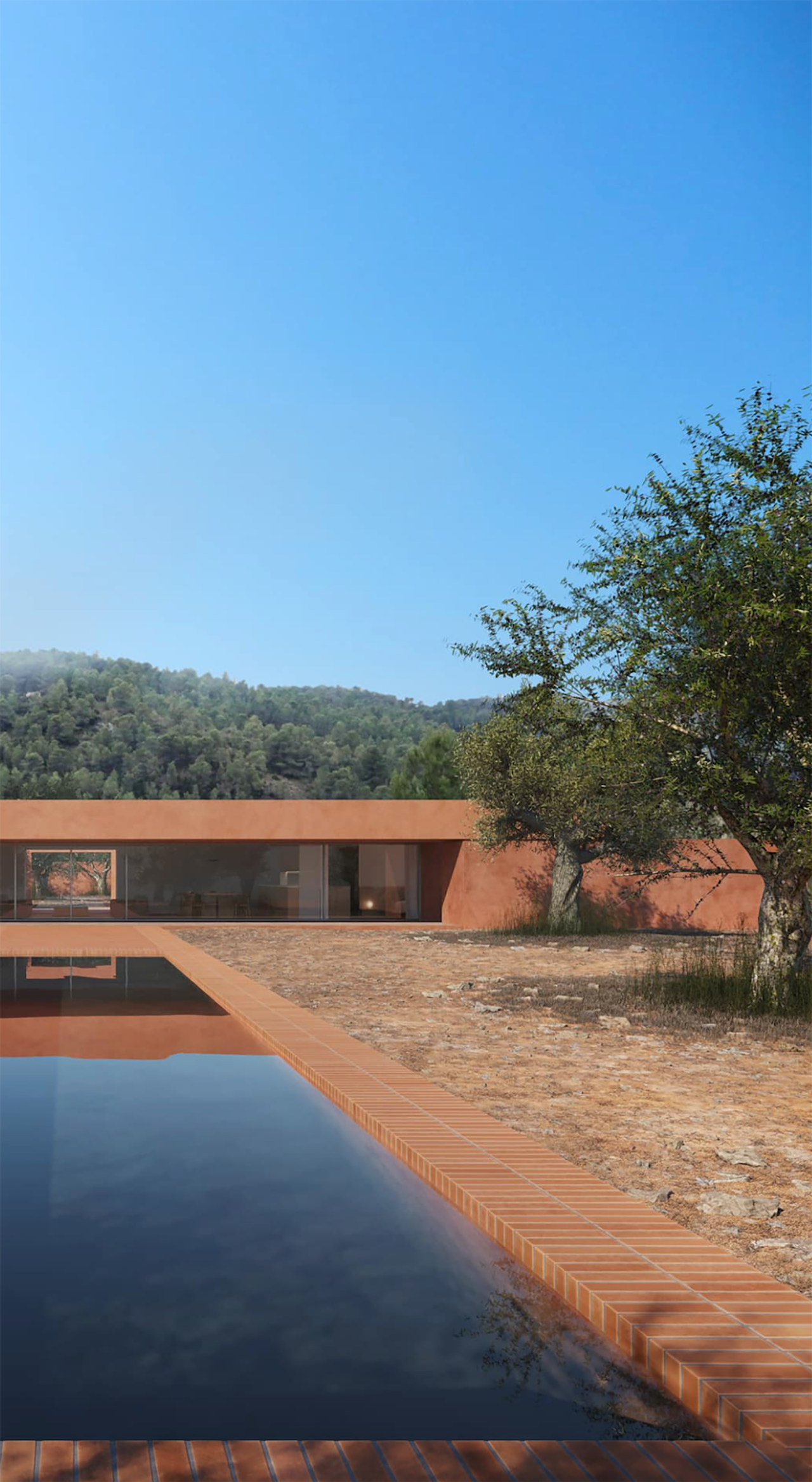 橄榄林屋丨西班牙丨Balzar Arquitectos-3