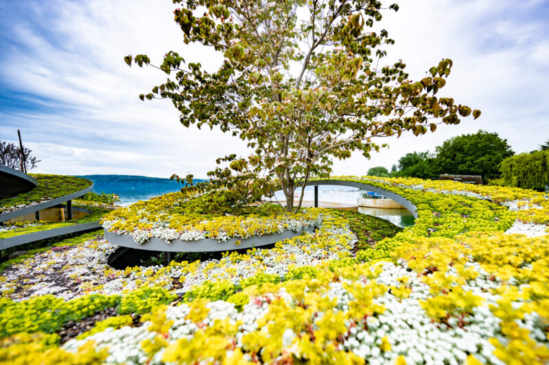 See  Pavillon by Kähler（宁静通风的滨湖亭）丨德国-30