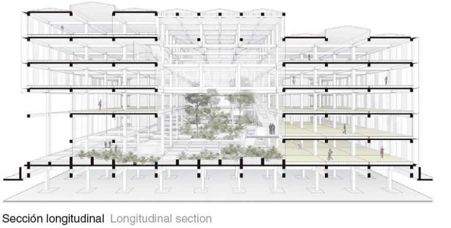 智利木业巨头 Arauco 总部-19