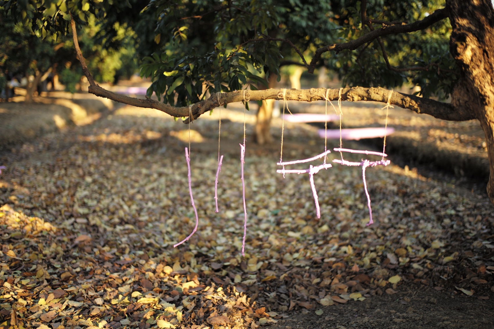 川行,CROSSING MEMORY丨中国广州丨北京林业大学 + LAIBA STUDIO-26