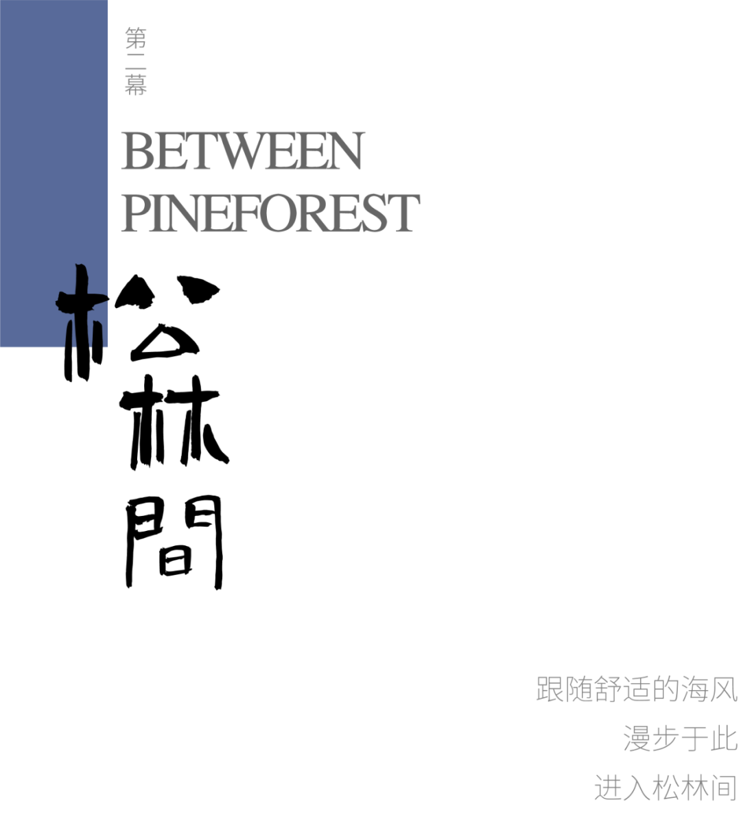 松林浪屿，海岸逐光丨青岛 · 云上观海-35