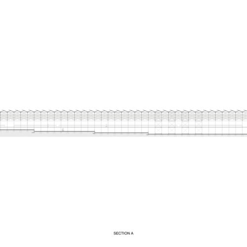 花卉展，Green House Floriade丨V8 Architects-23