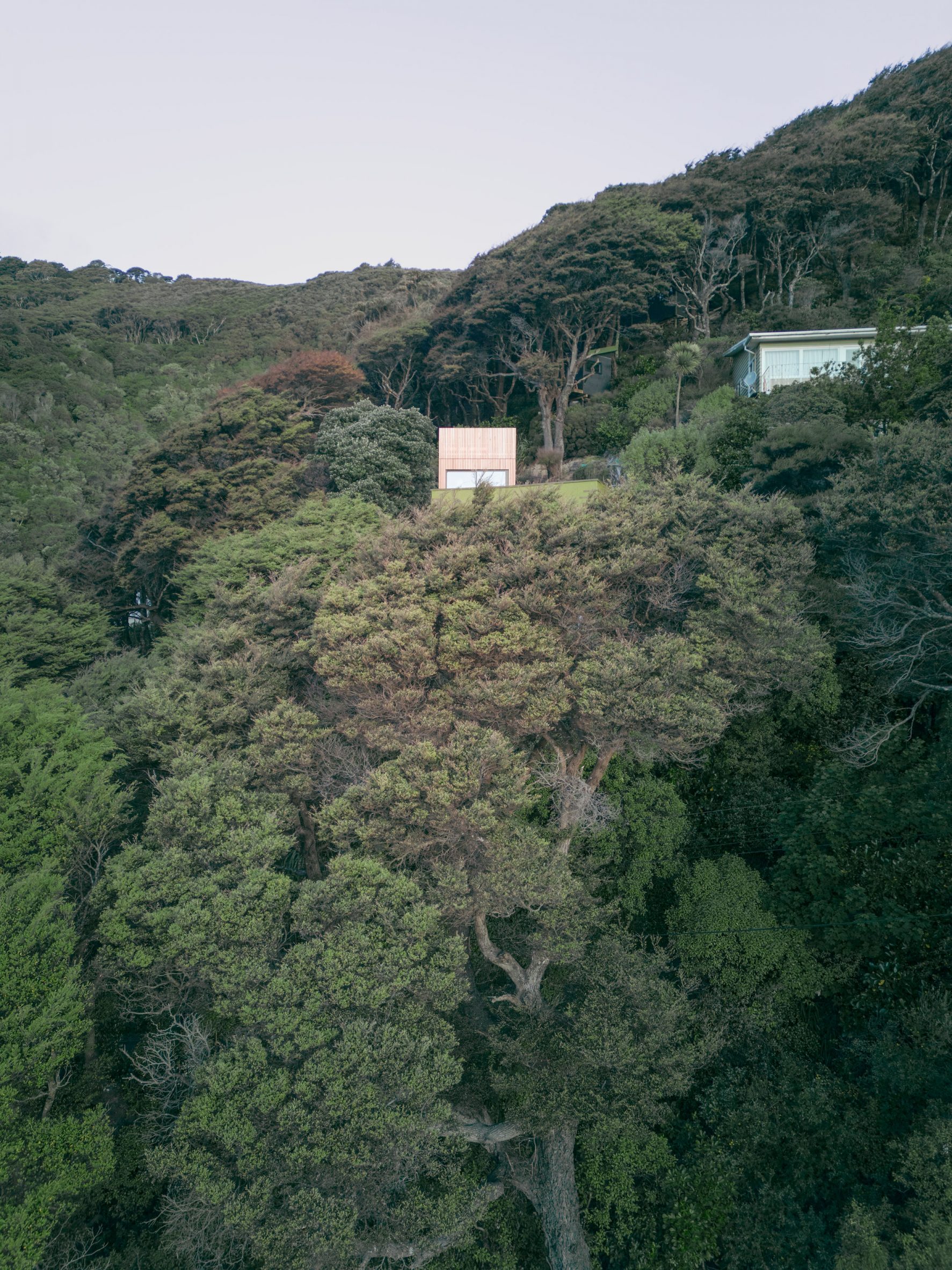 Towering house extension in New Zealand mimics "childhood treehouse"-3