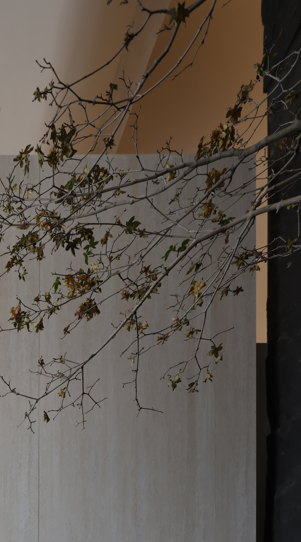 纤体美容抗衰中心丨中国惠州丨土禾空间设计事务所-10