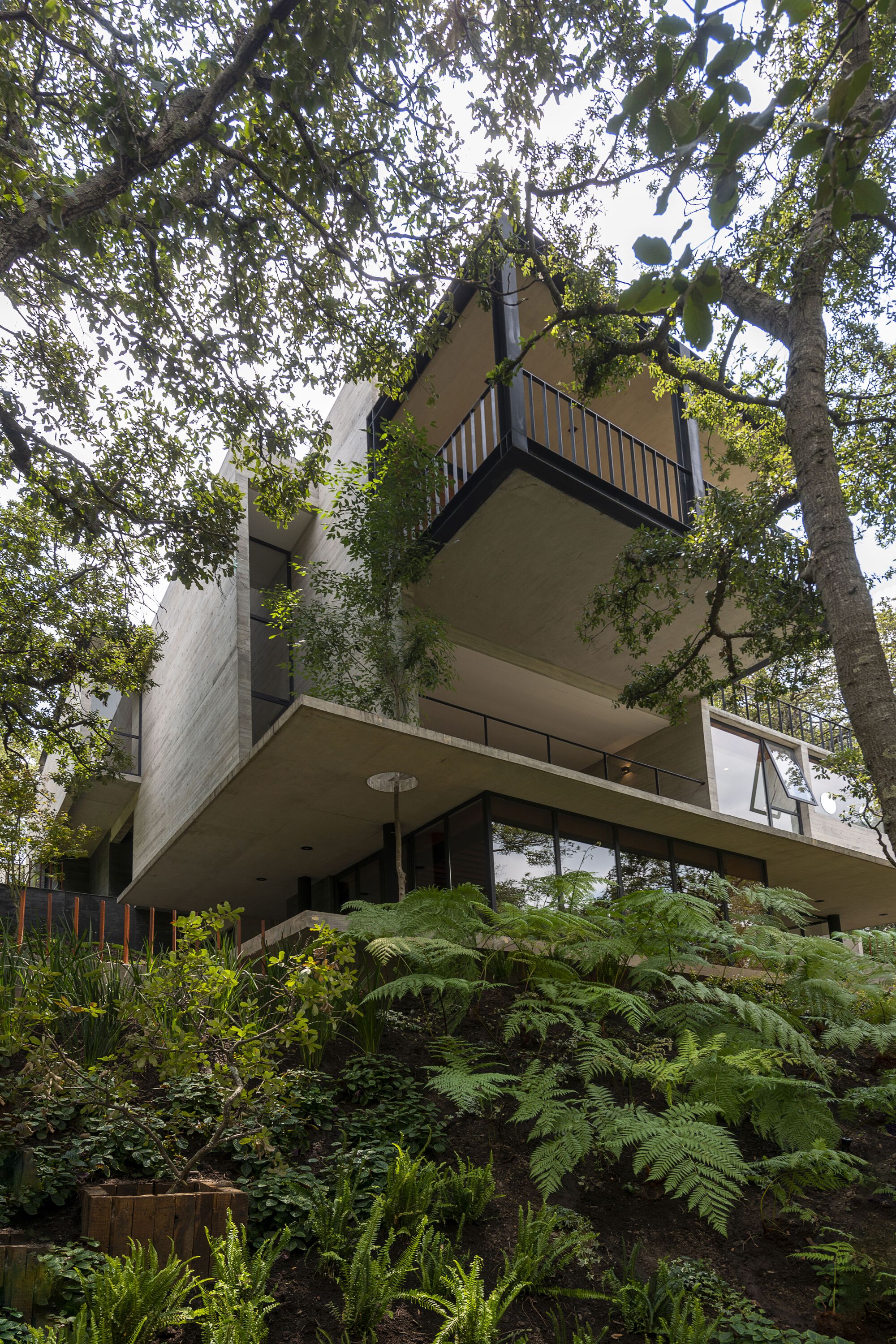 AYG 之家丨Miguel de la Torre-10