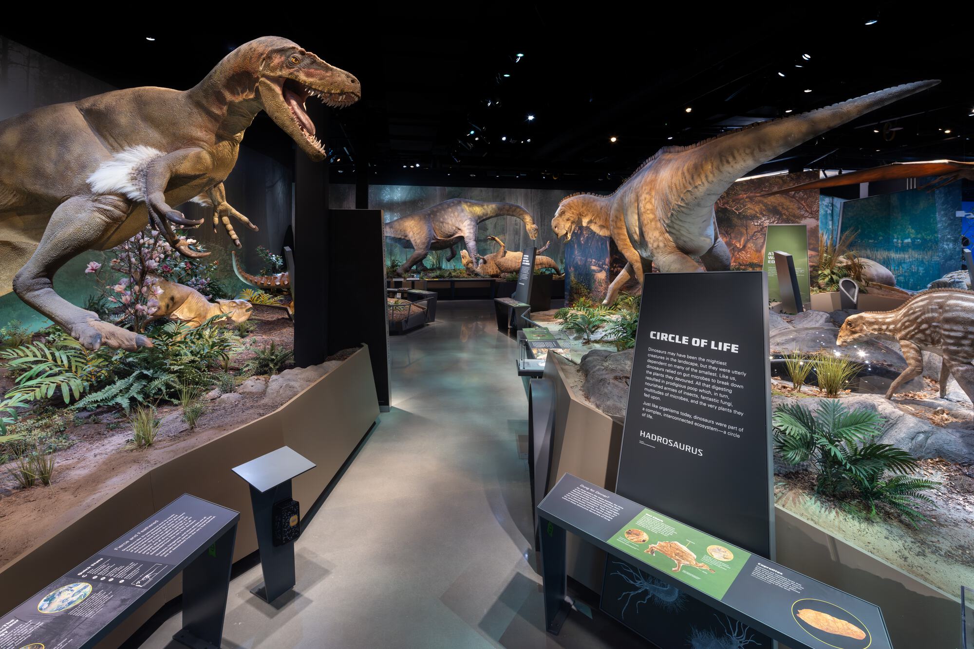 Jean & Ric Edelman Fossil Park & Museum / Ennead Architects-23