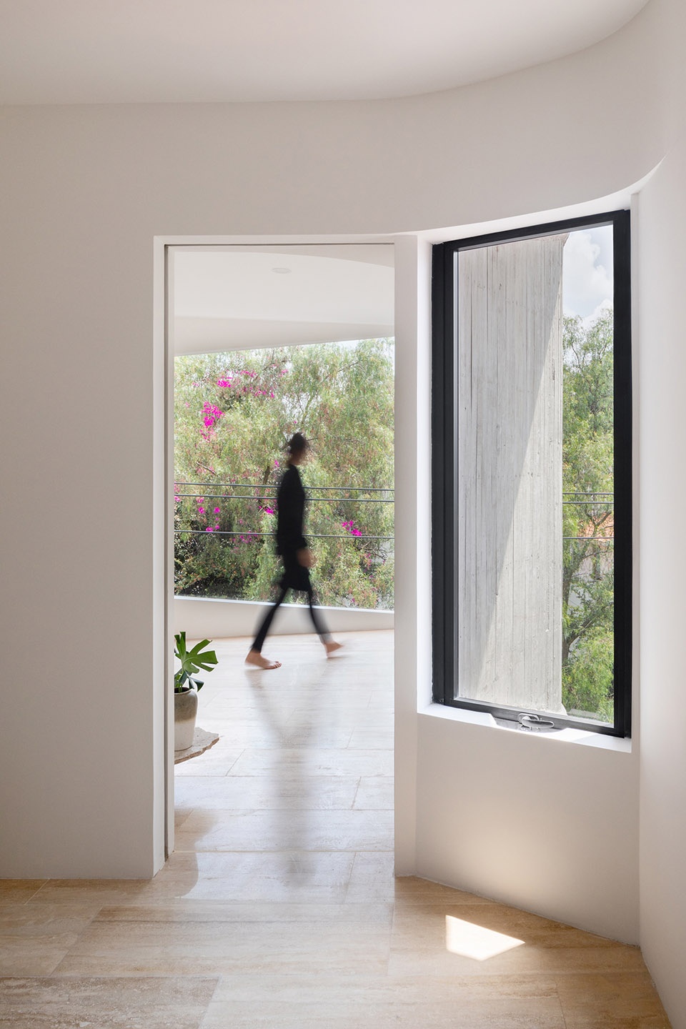 扭转的窗口 | 墨西哥城公寓楼设计-40