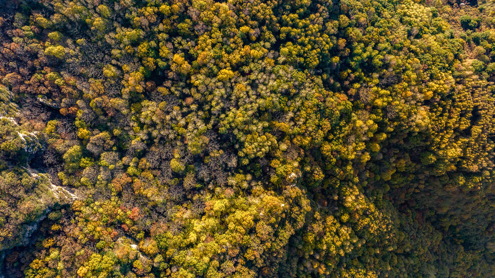 阿那亚金山岭中心小镇景观(山境)丨中国河北丨致舍景观-209