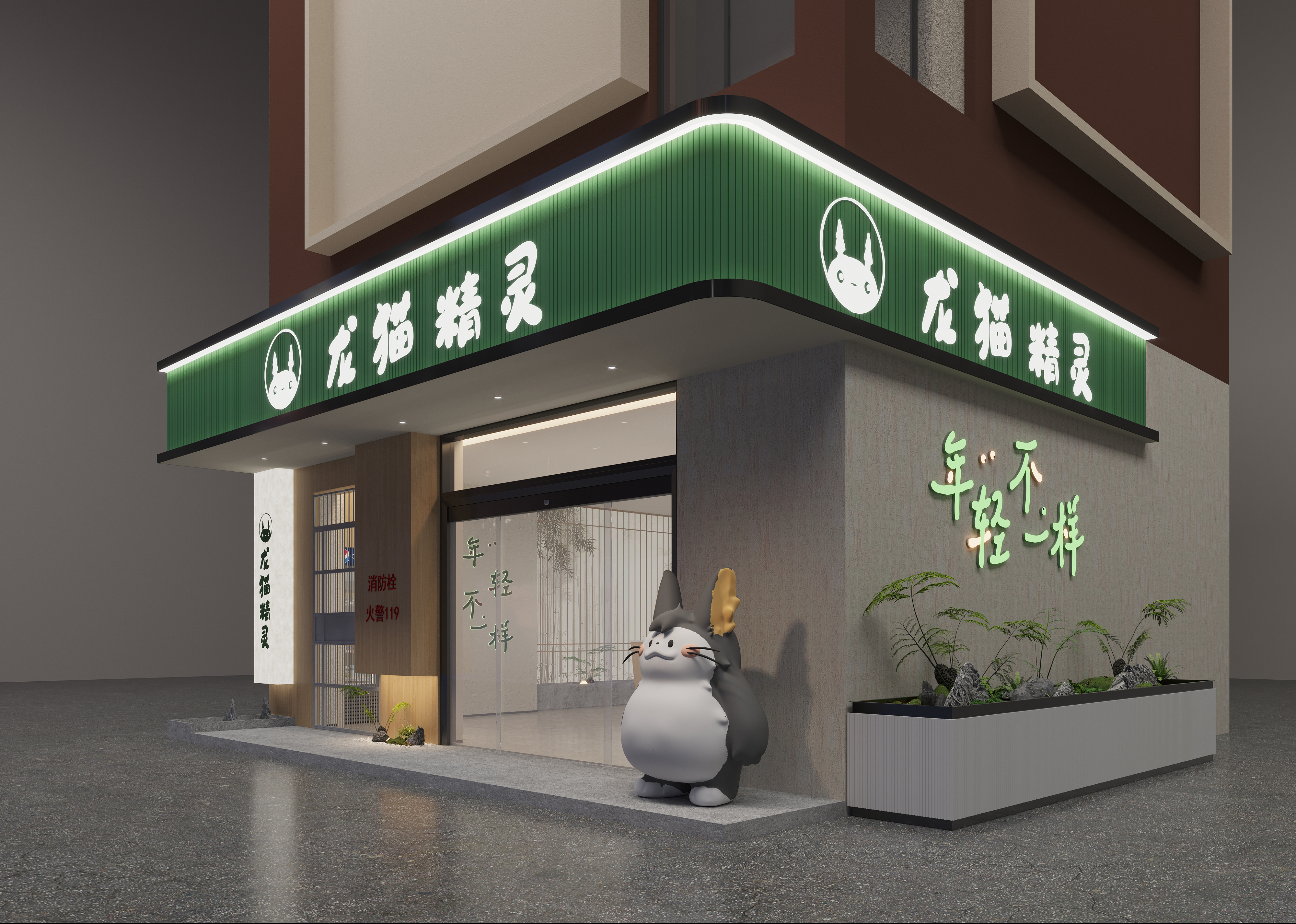 龙猫  龙猫精灵系列（广西  南宁动物园店）丨中国南宁-4