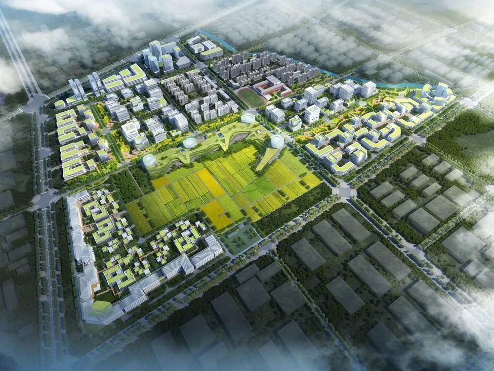 临淄区大数据产业园产业研究及规划设计项目丨中国淄博丨同济大学建筑设计研究院(集团)有限公司城市与规划设计研究中心-1