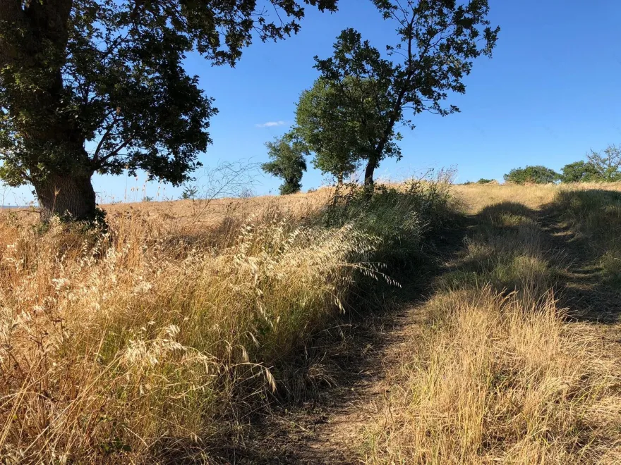 意大利 Abruzzo 的 Aristo House丨Tom Thys Architecten-43