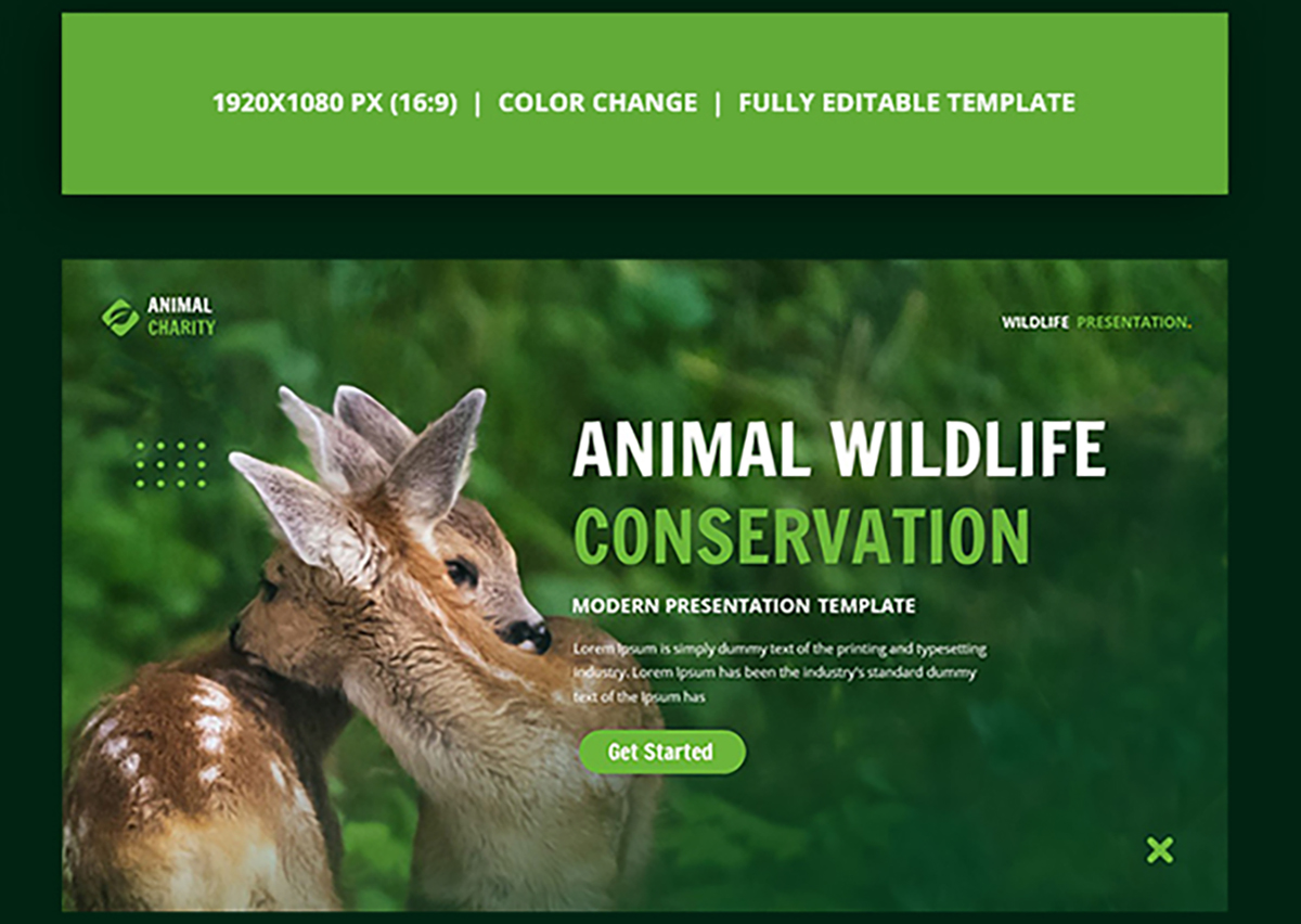 安尼康瑟夫 演示文稿模板 -3