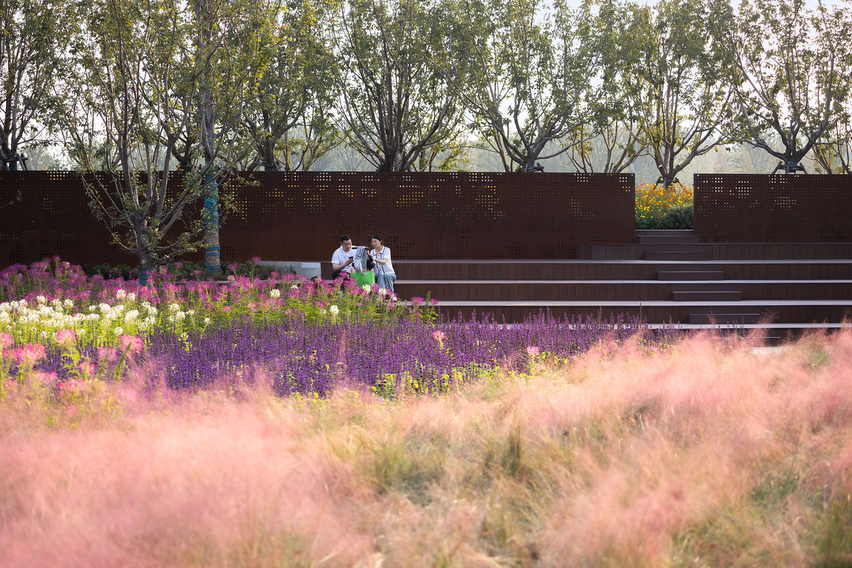 2023年中国(合肥)国际园林博览会百花园设计丨中国合肥丨北京多义景观规划设计事务所,北京林业大学园林学院-52