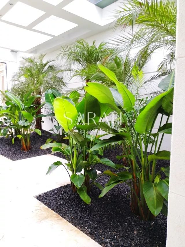 【花园荟】​带你见证0差评颜值酒店如何诞生-72