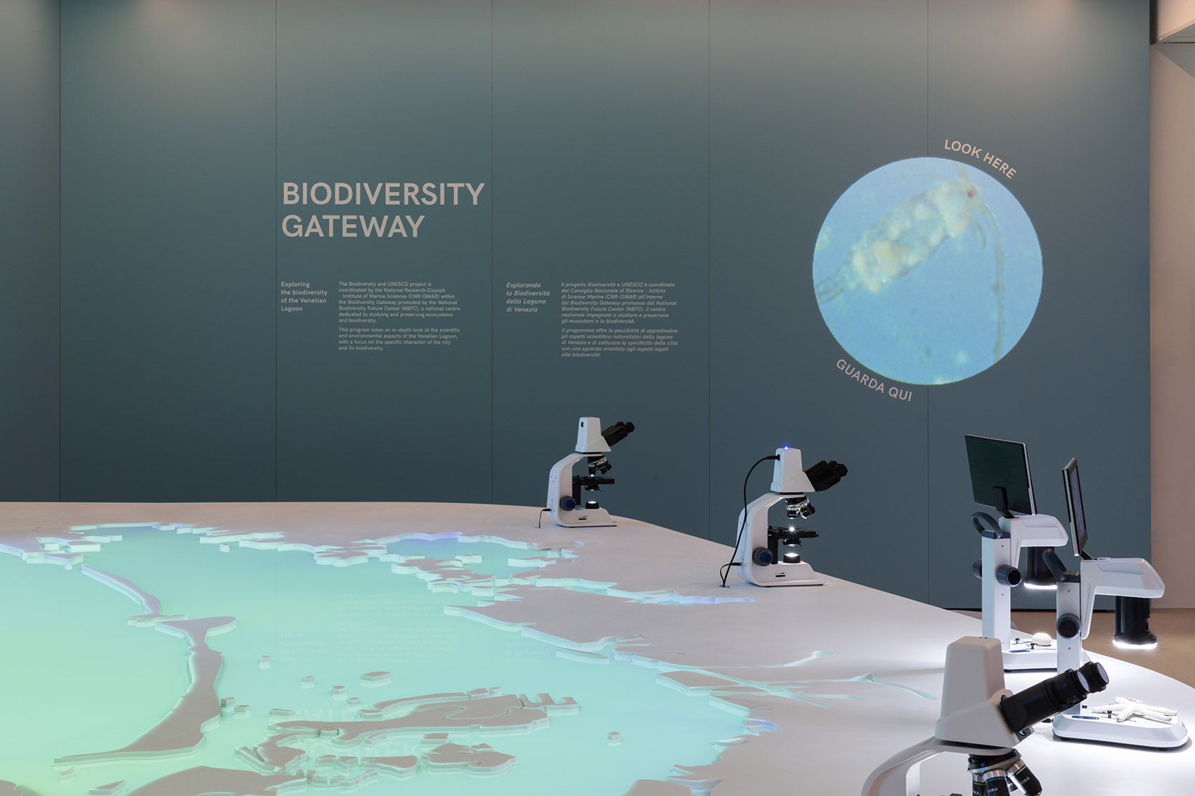 Ocean Intelligence展览丨意大利丨CRA-Carlo Ratti Associati-16