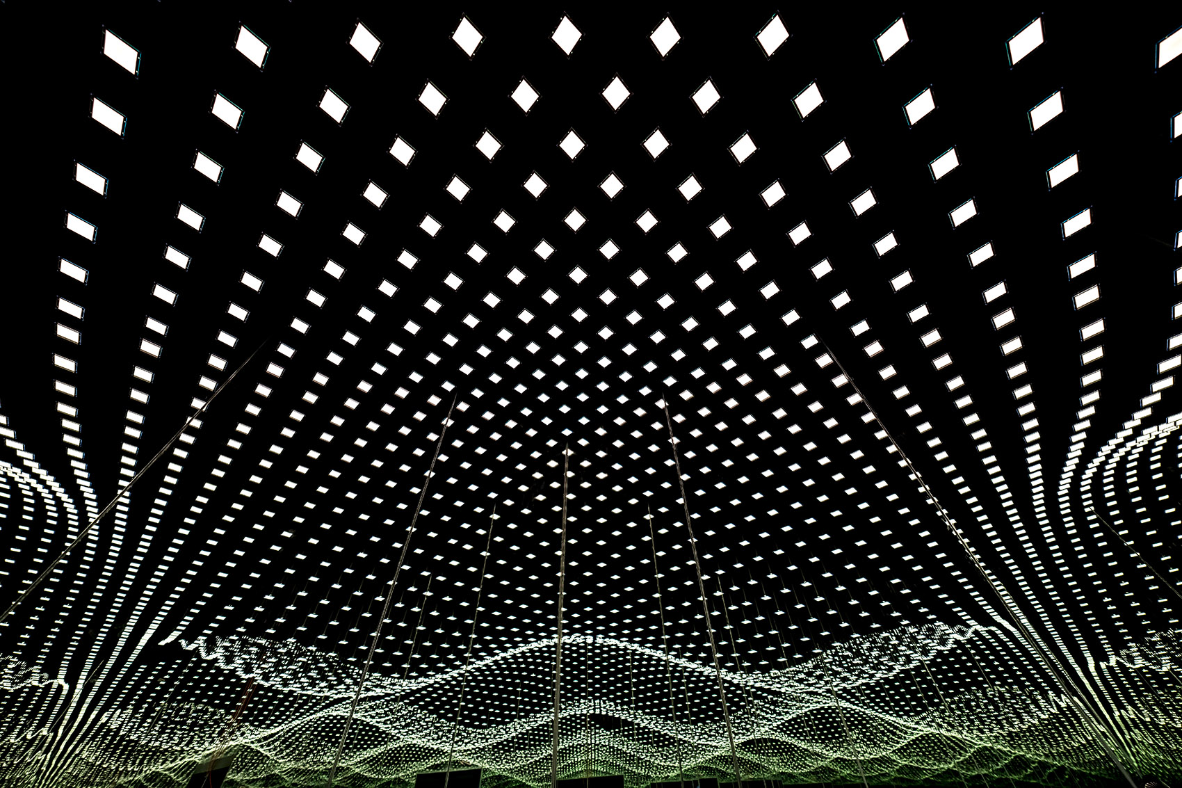 《暗物质2026  四季森林》展览丨德国丨Christopher Bauder + Chris Kuijten-33