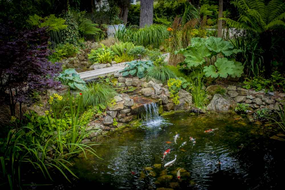 水上花园丨Damien Keane-1