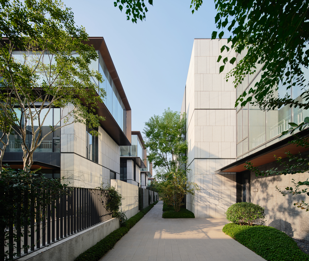 新作 极限容量下的院落空间实验 ：杭丨中国杭州丨孟凡浩-line+-18