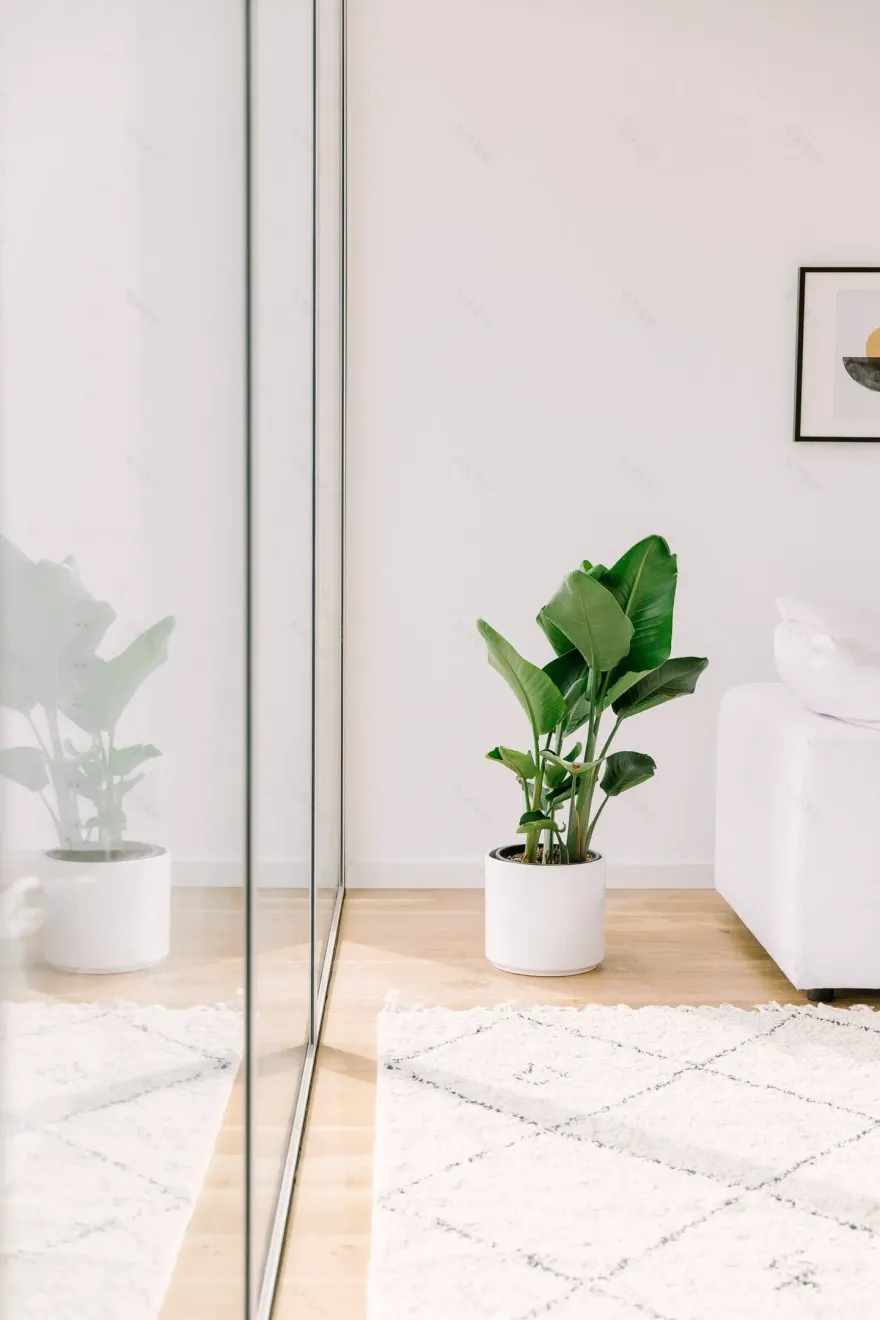 阳光玻璃小屋,尽享加州美景-7