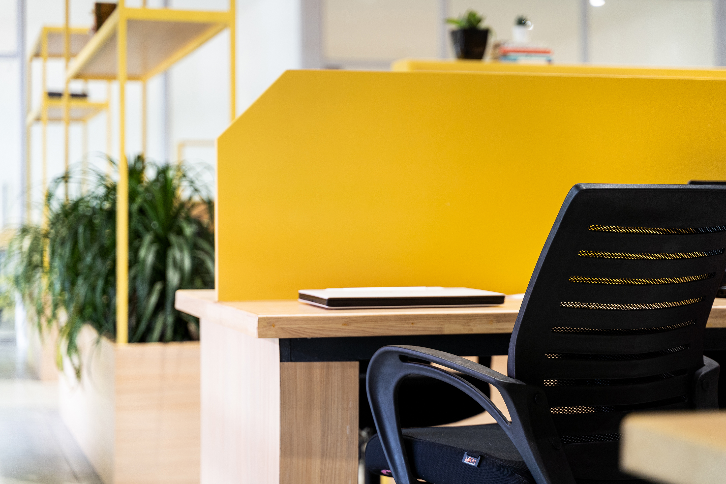 印度卡利卡特黄街建筑丨dot Architects Calicut-30