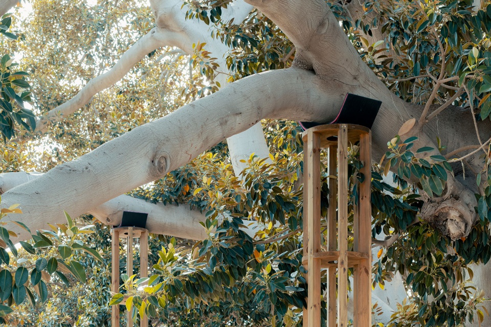 西班牙 SAFE 装置丨meii estudio-5